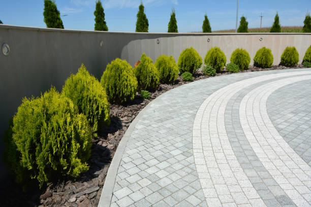 Best Driveway Pavers Near Me  in Edwardsville, PA